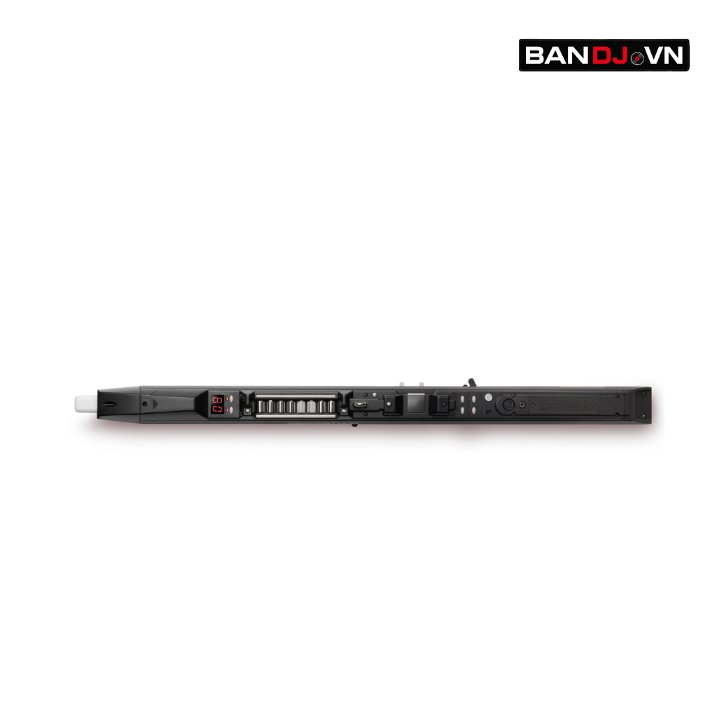EWI5000 – Sáo điện tử đầu tiên trên thế giới