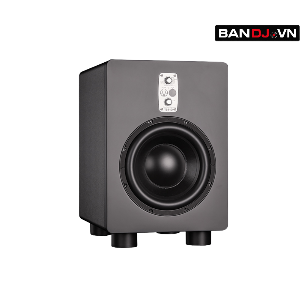 Loa Sub EVE TS110