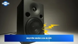 90% NGƯỜI CHƠI LOA SẼ MẮC PHẢI NHỮNG SAI LẦM NÀY!