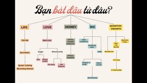 Người mới bắt đầu